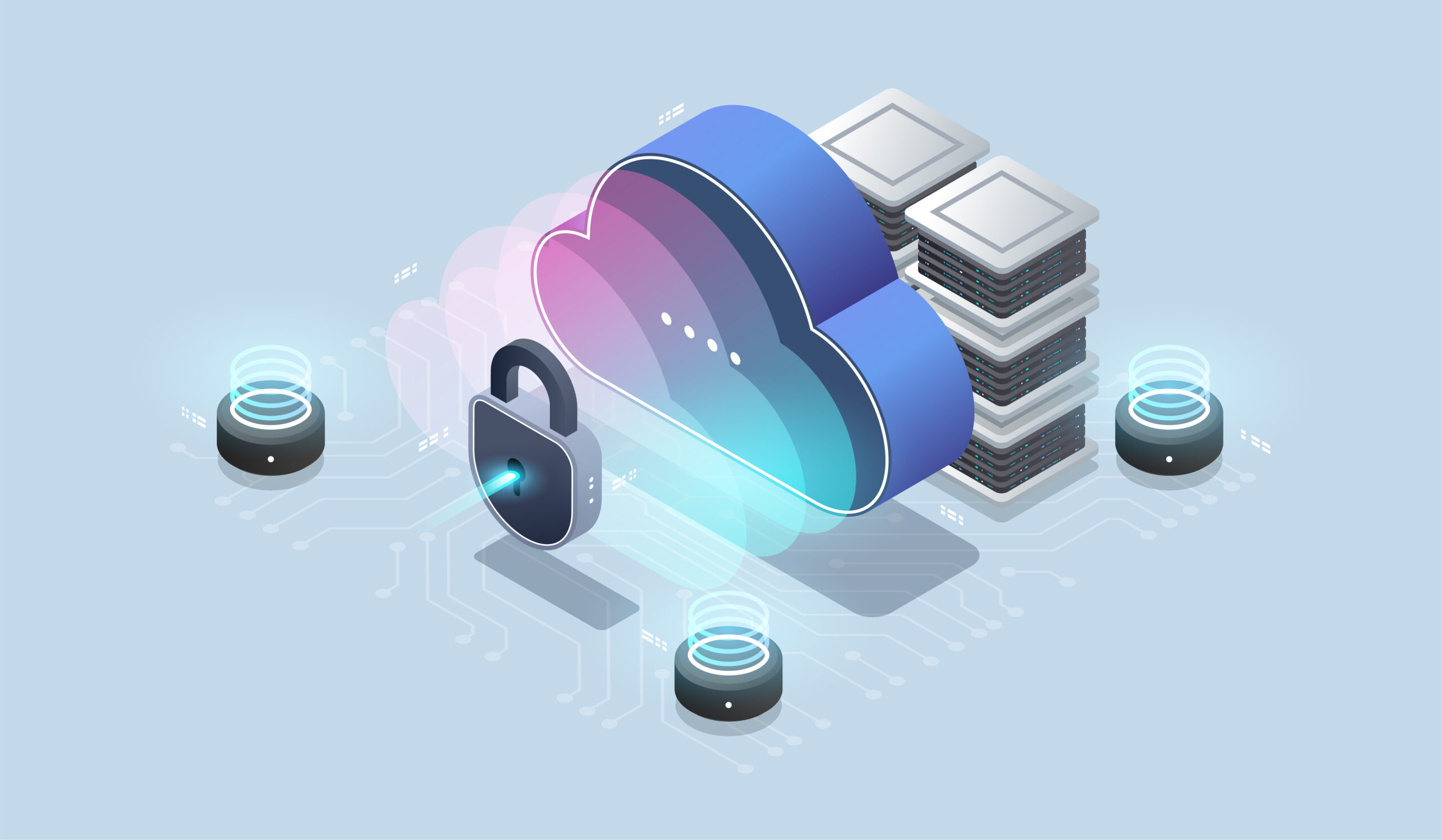 Application Security Consulting